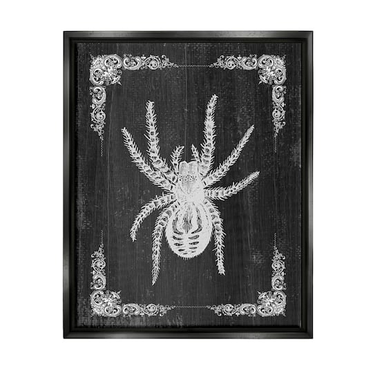 Stupell Industries Black & White Spider Framed Floater Canvas Wall Art